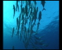 aquamotion_sinai07_009