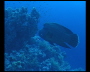 aquamotion_sinai07_015