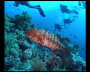 aquamotion_sinai07_020