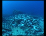 aquamotion_sinai07_042