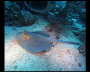 aquamotion_sinai07_046