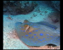 aquamotion_sinai07_049