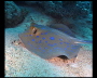 aquamotion_sinai07_066
