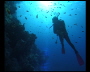 aquamotion_sinai07_076