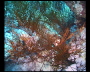 aquamotion_sinai07_086
