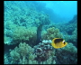 aquamotion_sinai07_093