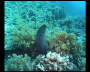 aquamotion_sinai07_099