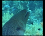 aquamotion_sinai07_106