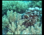 aquamotion_sinai07_107