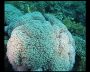 aquamotion_sinai07_108