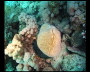 aquamotion_sinai07_110