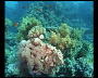 aquamotion_sinai07_112
