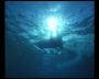 aquamotion_sinai07_115