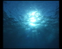 aquamotion_sinai07_117