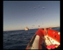 aquamotion_sinai07_142