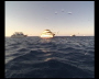 aquamotion_sinai07_143