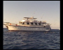 aquamotion_sinai07_144