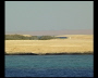 aquamotion_sinai07_161