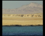 aquamotion_sinai07_167