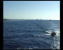 aquamotion_sinai07_186