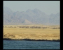 aquamotion_sinai07_189