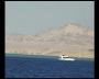aquamotion_sinai07_195