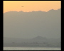 aquamotion_sinai07_234
