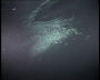 aquamotion_sinai07_263
